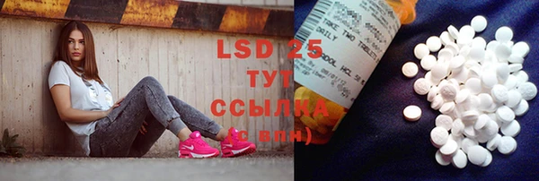 стаф Алзамай