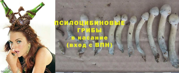 мяу мяу мука Алексин
