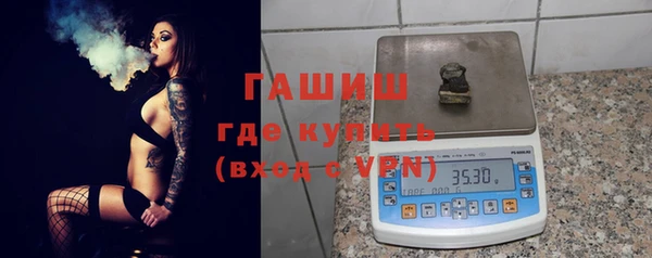 стаф Алзамай