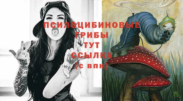 стаф Алзамай