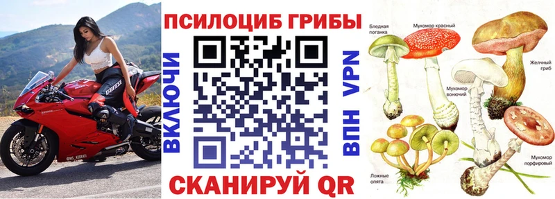 Псилоцибиновые грибы Psilocybine cubensis Харовск