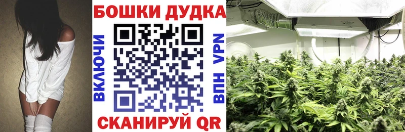 Каннабис планчик Харовск